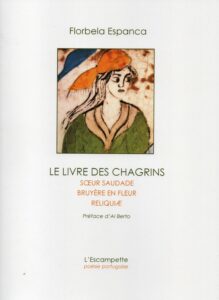 Le livre des chagrins